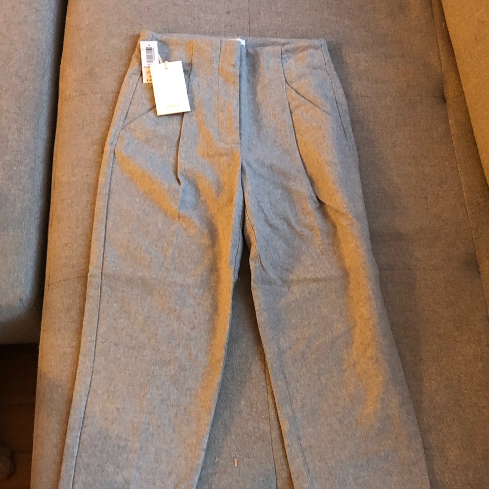 ARITZIA Felt Pleated Pants in Gray